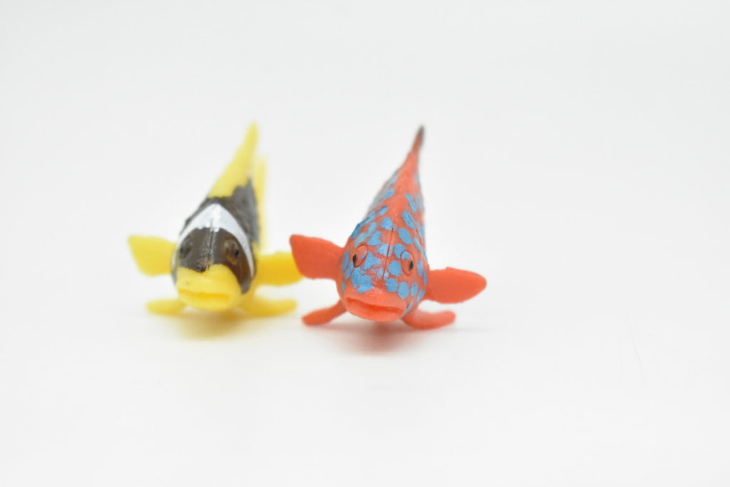Tropical Fish, Saltwater, Set of 2, Realistic, Plastic, Fish Design, Educational, Hand Painted, Figure, Lifelike, Model, Replica, Gift      2"   CWG217 BB46