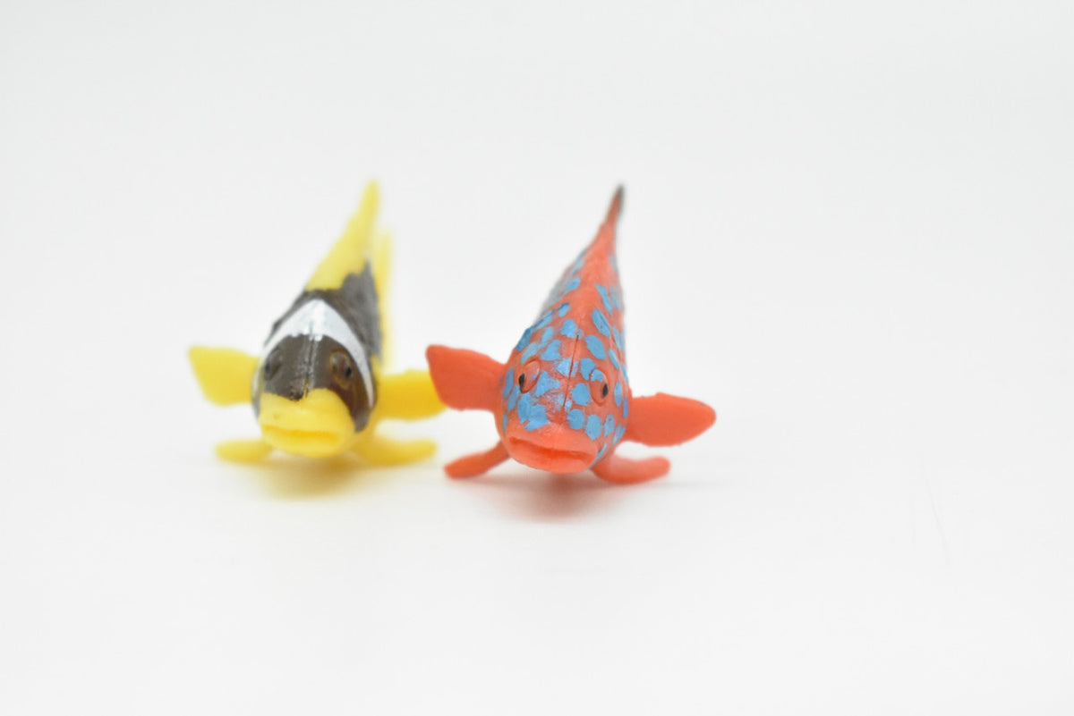 Tropical Fish, Saltwater, Set of 2, Realistic, Plastic, Fish Design, Educational, Hand Painted, Figure, Lifelike, Model, Replica, Gift      2"   CWG217 BB46