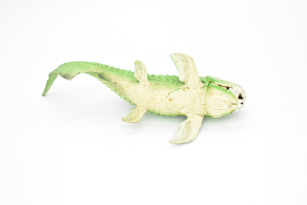 Dunkleosteus, Prehistoric Fish, Dinosaur, Museum Quality, Rubber Fish, Hand Painted, Realistic Toy Figure, Diorama Model, Kids, Educational, Gift,    8 Inches.  CH013 BB70