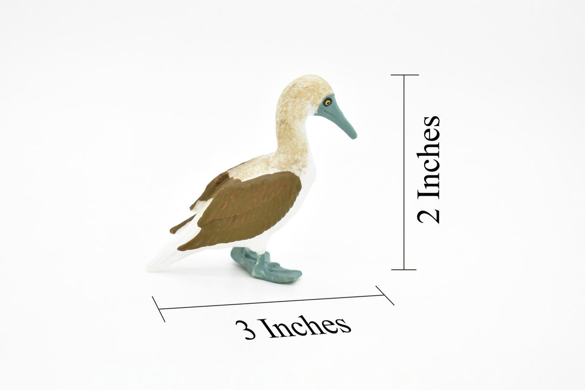 Blue Footed Booby, Gannet Sea Bird, Museum Quality, Rubber Bird, Hand Painted, Realistic Toy Figure, Diorama Model, Kids, Educational, 3 Inches.