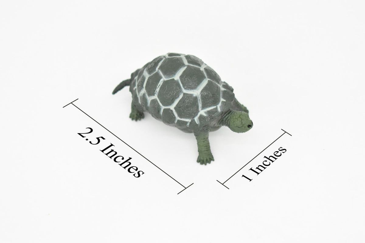Tortoise, Testudinidae, Reptiles, Realistic Rubber Reproduction, Hand Painted Figurines       2.5"      CH145 B246