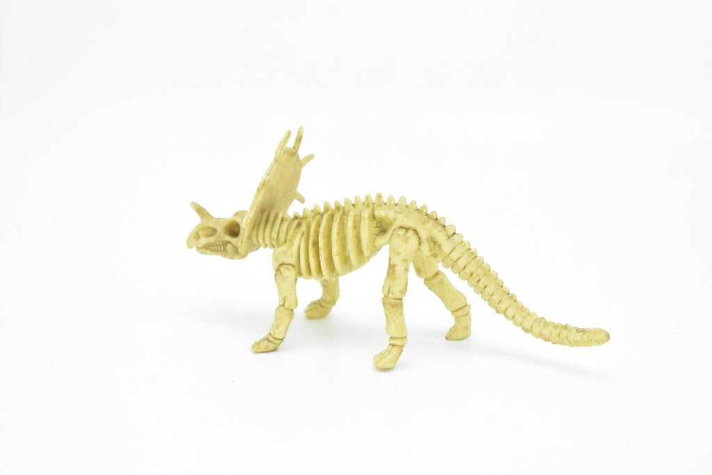 Protoceratops Dinosaur, Skeleton, Very Nice Plastic Replica    6" -   F3289 B66