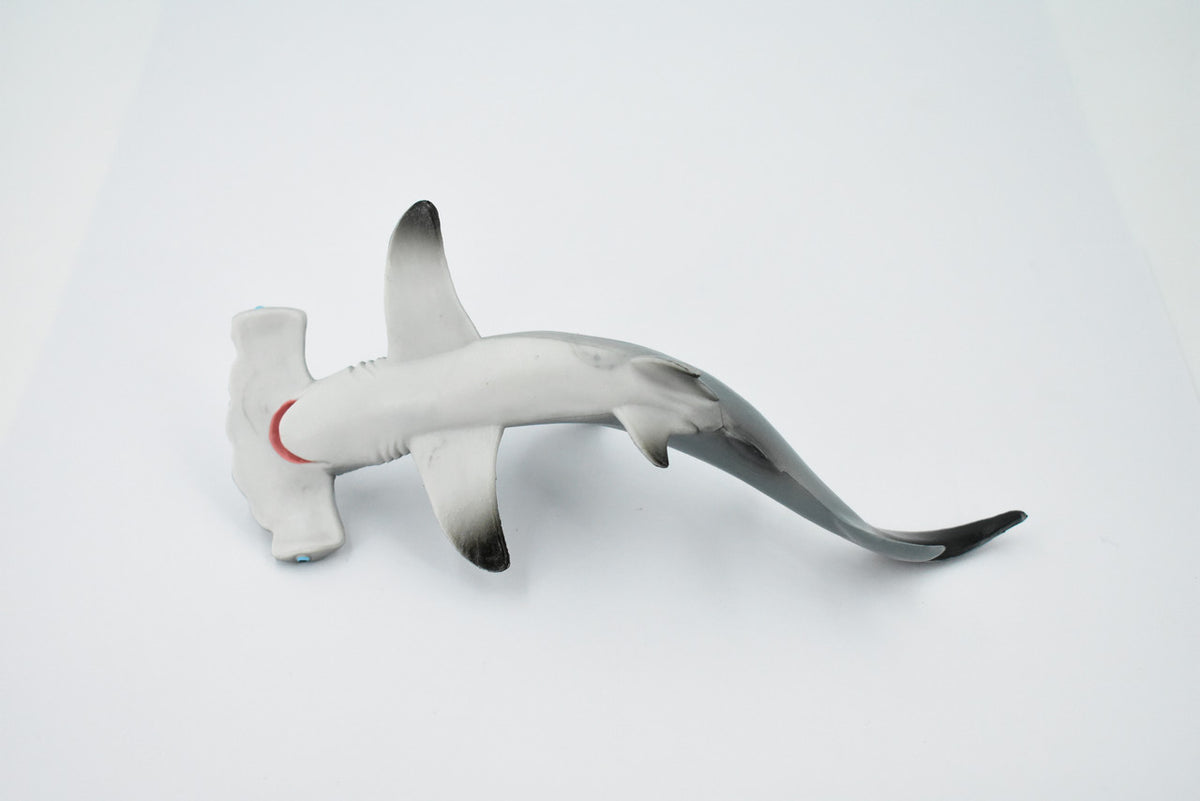 Hammerhead Shark, Museum Quality, Educational, Rubber Fish, Hand Painted, Realistic Toy Figure, Diorama Model, Kids, Educational, 7 Inches. 