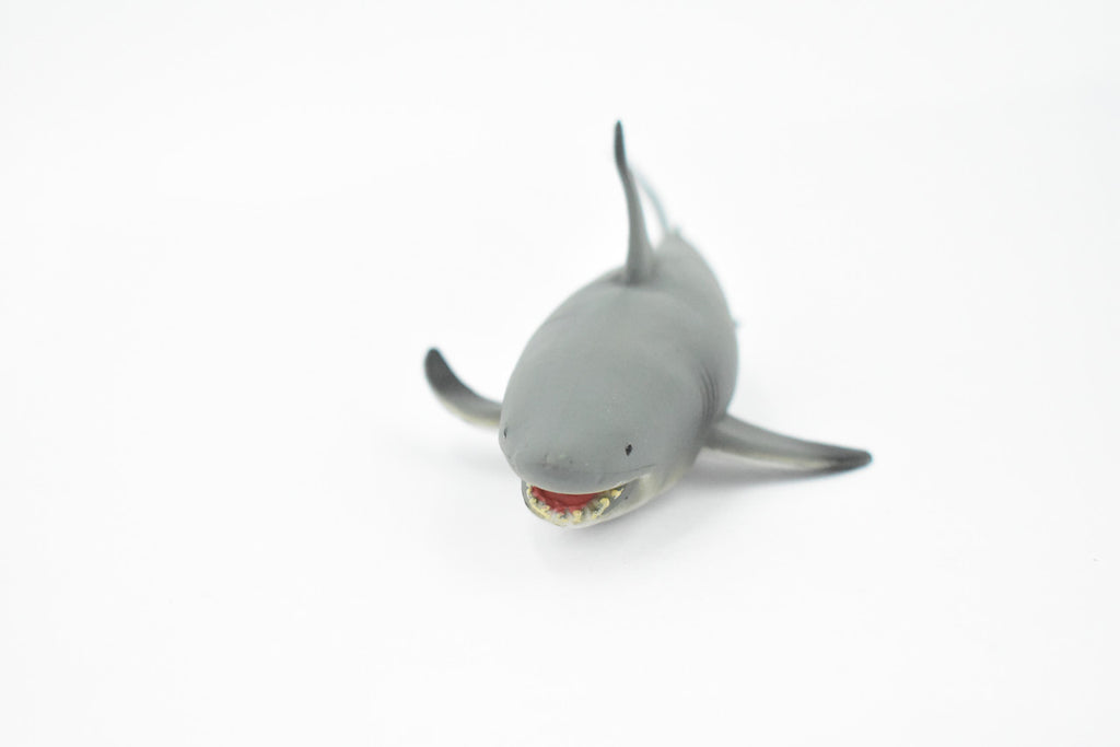 Black Tip Reef Shark, Museum Quality, Hand Painted,  Rubber Fish,  Educational, Diorama Model, Replica, Realistic Toy Figure, Kids,  7 Inches. 