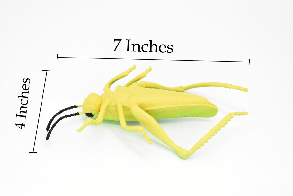Grasshopper, Rubber Toy Insect, Realistic Figure, Model, Replica, Kids Educational Gift,    7"    -    F2059 B134