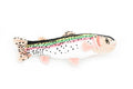 Rainbow Trout, Very Nice Plush Fish, Stuffed Animal, Educational, Realistic Figure, Gift, 10 Inches