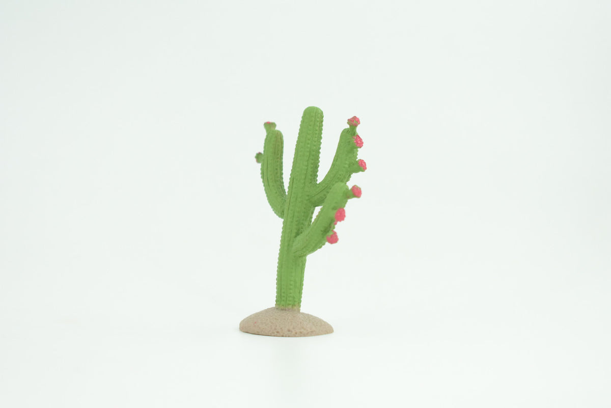 Saguaro Cactus, Pink Flowers, Columnar, Rubber, Educational, Desert Cactus, Realistic Figure, Model, Replica, Kids, Toys, Gift,   2 Inches.     SF78 B103