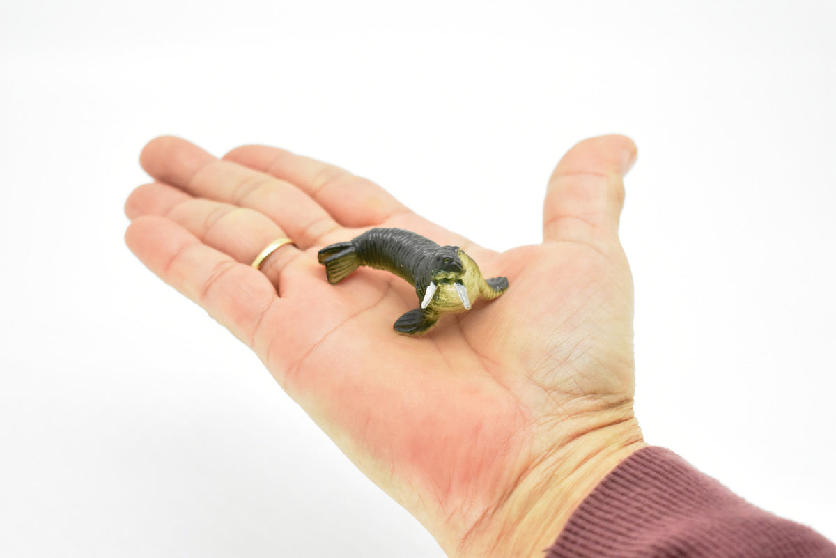 Walrus, Very Nice Plastic Replica    2"  -   F220 B36