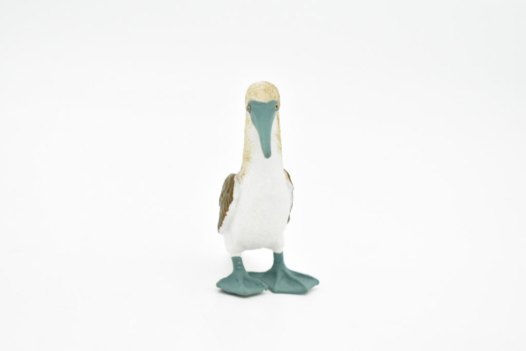 Blue Footed Booby, Gannet Sea Bird, Museum Quality, Rubber Bird, Hand Painted, Realistic Toy Figure, Diorama Model, Kids, Educational, 3 Inches.