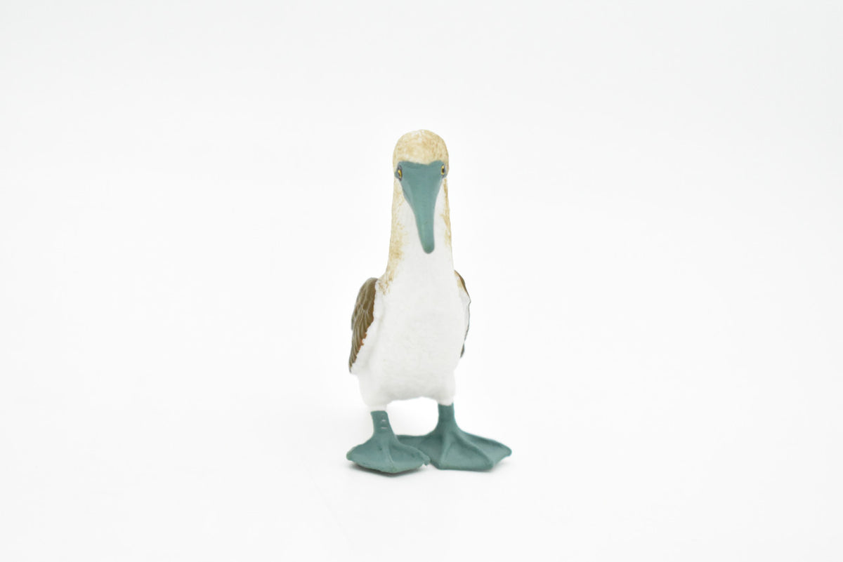 Blue Footed Booby, Gannet Sea Bird, Museum Quality, Rubber Bird, Hand Painted, Realistic Toy Figure, Diorama Model, Kids, Educational, 3 Inches.