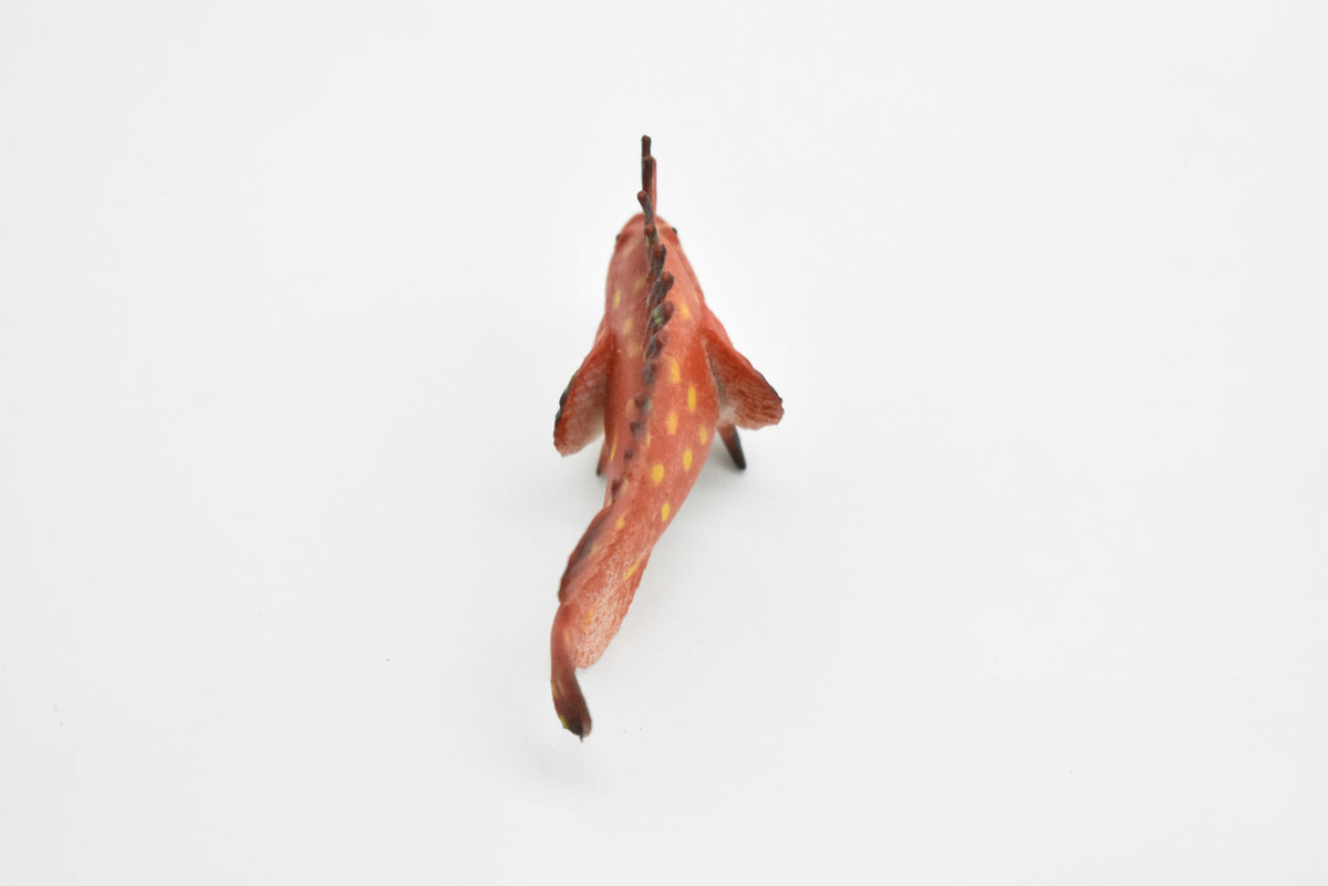 Spotted Kelpfish, Tropical Fish, Gibbonsia elegans, Hand Painted, Realistic, Plastic Fish Design, Saltwater, Educational, Figure, Lifelike, Diorama Model, Toy, Gift,  2 Inches.    CWG271 B46