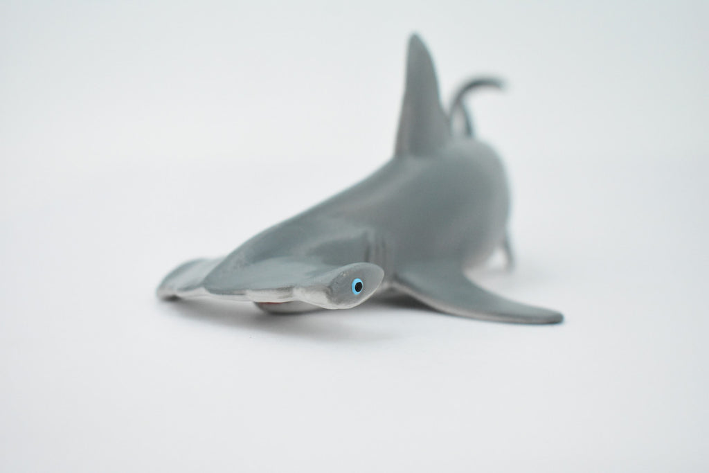 Hammerhead Shark, Museum Quality, Educational, Rubber Fish, Hand Painted, Realistic Toy Figure, Diorama Model, Kids, Educational, 7 Inches. 
