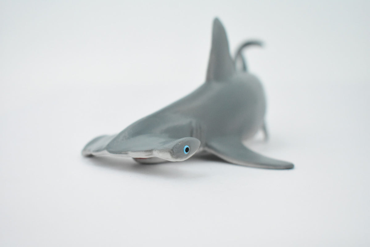 Hammerhead Shark, Museum Quality, Educational, Rubber Fish, Hand Painted, Realistic Toy Figure, Diorama Model, Kids, Educational, 7 Inches. 