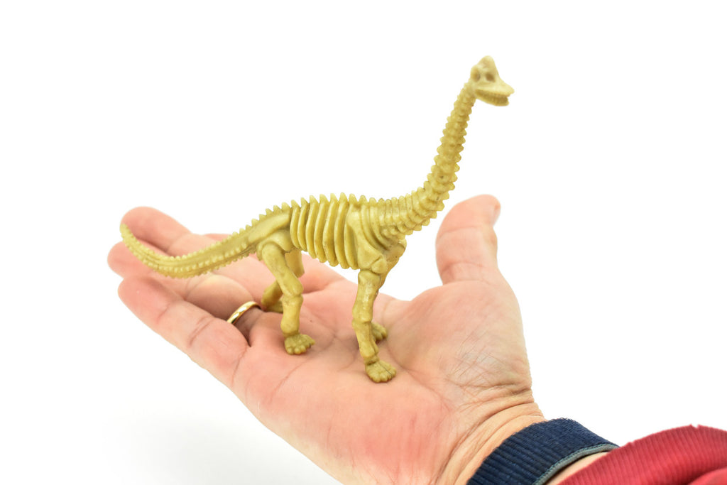 Brontosaurus Dinosaur, Skeleton, Very Nice Plastic Replica    6" -   F3286 B61