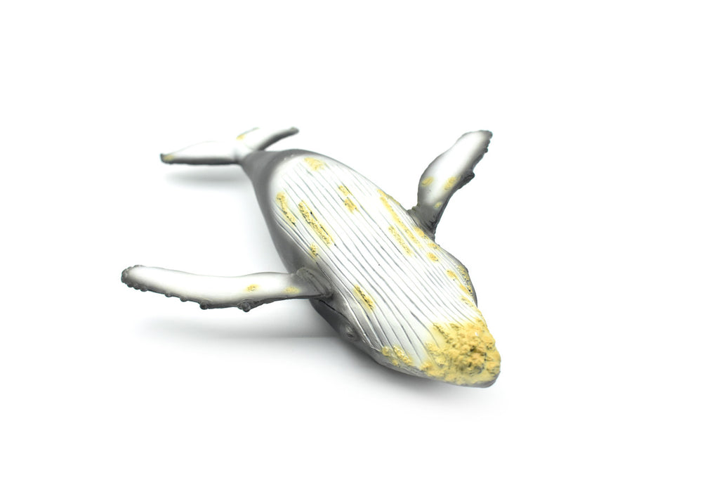 Humpback Whale,  Museum Quality Plastic Replica   12 1/2"   M031-B635