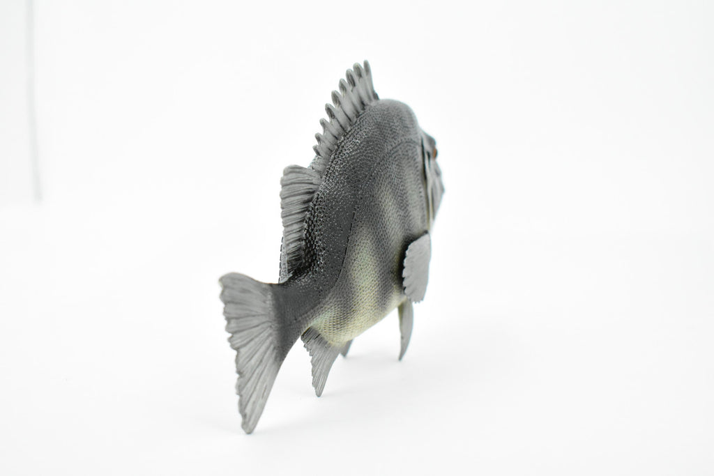 Fish, Rock Bream, Bass, Museum Quality, Hand Painted, Rubber Fish, Realistic Toy Figure, Model, Replica, Kids, Educational, Gift,     7"     CH381 BB142