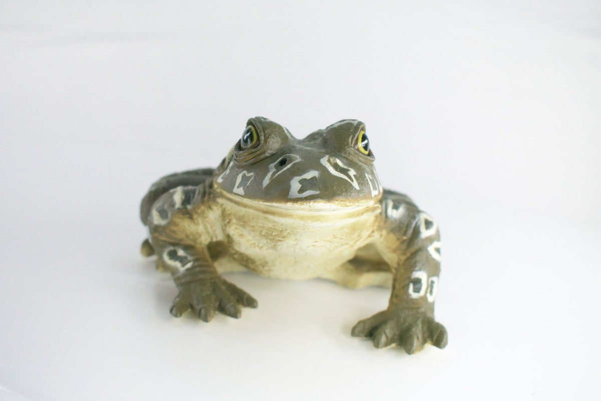 Bull Frog, High Quality, Hand Painted, Hard Rubber Frog, Realistic Amphibian, Toy Figure, Diorama Model, Replica, Kids, Educational, Gift,    9 Inches.    IM19 B655