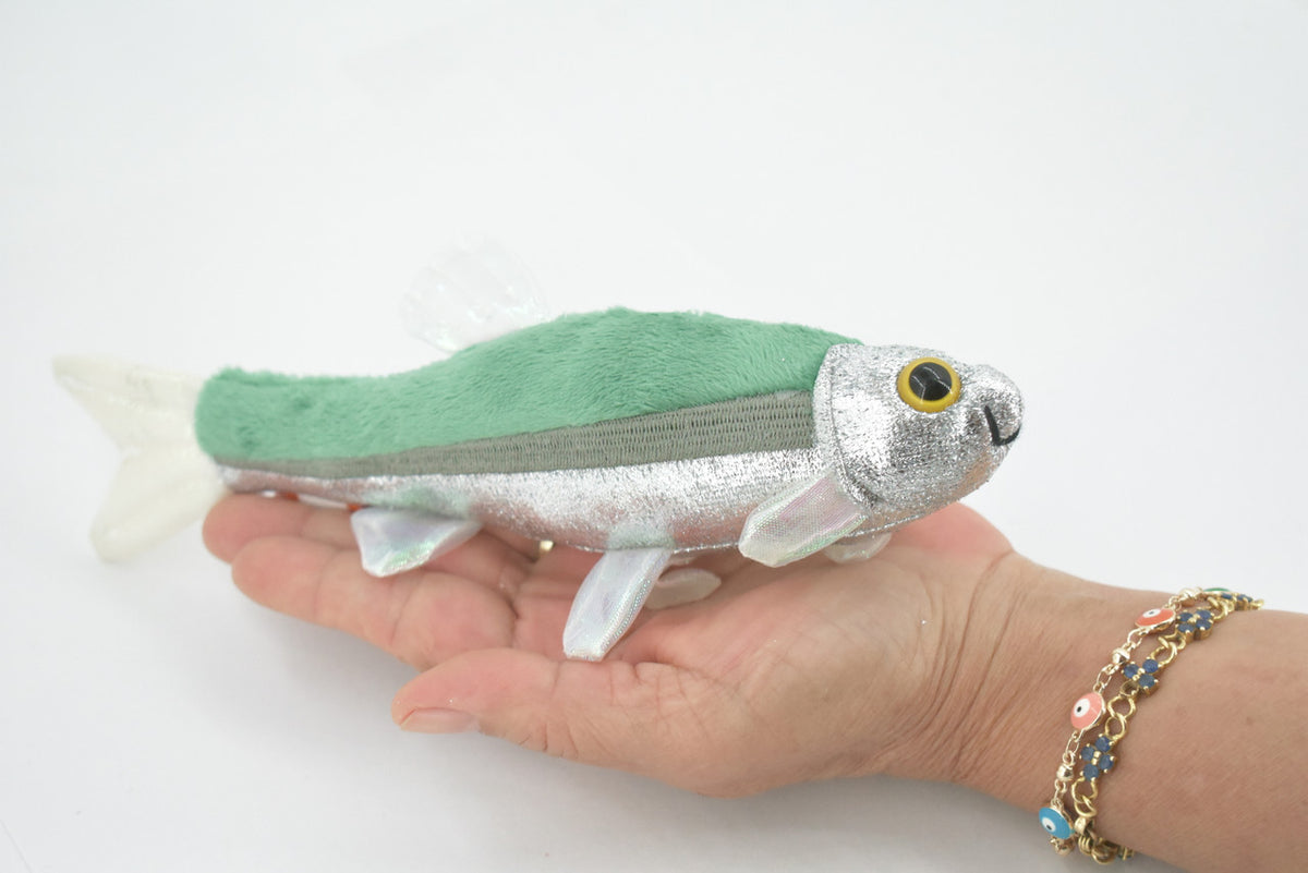 Fish, Minnow, Cyprinidae and Leuciscidae Stuffed Fish, Educational, Realistic Plush, Lifelike Shiny, Replica, Gift,   9"