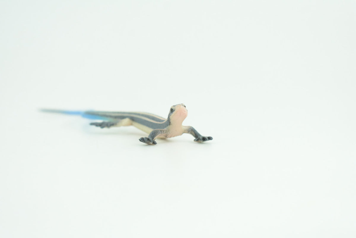 Blue-Tailed Skink, Lizard, Museum Quality, Hand Painted Reptiles, Educational, Rubber Reptile, Realistic, Diorama, Toys, Kids, Gift,    4 Inches. CH825 BB194