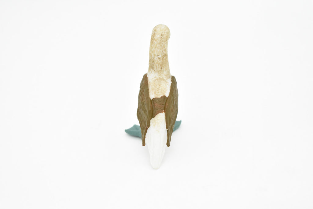 Blue Footed Booby, Gannet Sea Bird, Museum Quality, Rubber Bird, Hand Painted, Realistic Toy Figure, Diorama Model, Kids, Educational, 3 Inches.