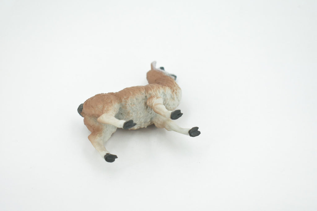 Alpaca, Lama pacos, Museum Quality, Hand Painted, Rubber Animal, Realistic, Toy, Figure, Model, Replica, Kids, Educational, Gift,    3 1/2"    CH603 BB165