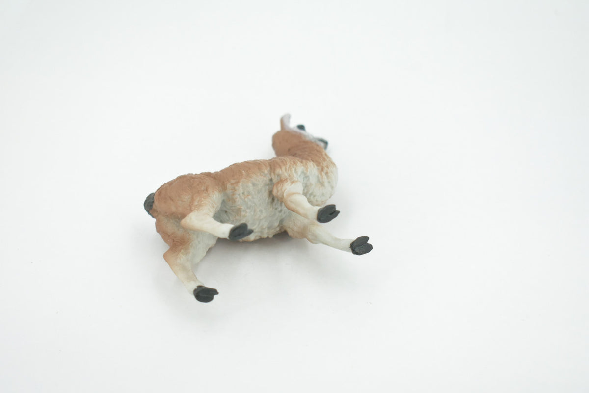 Alpaca, Lama pacos, Museum Quality, Hand Painted, Rubber Animal, Realistic, Toy, Figure, Model, Replica, Kids, Educational, Gift,    3 1/2"    CH603 BB165