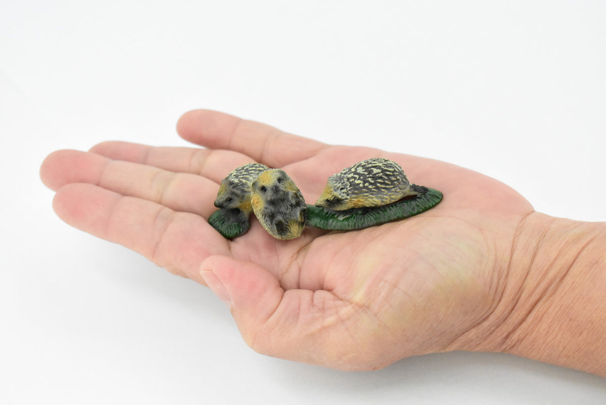 Hedgehog, Family of Three, Very Nice Rubber Animal, Hand Painted, Realistic Design, Educational, Diorama Model,  3 Inches. 