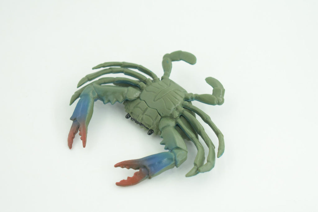 Blue Crab, Educational, Hand Painted, Museum Quality, Realistic, Rubber soft-shell crab, Realistic, Diorama, Toy, Kids, Gift,  3 1/2 Inches.  CH851 BB198