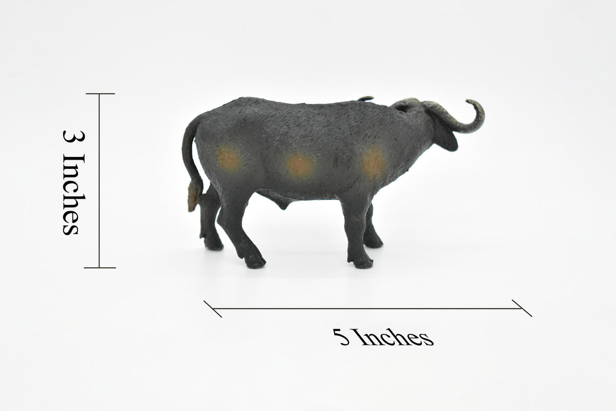 Cape Buffalo, African Bovine, Syncerus caffer, Museum Quality, Hand Painted, Rubber Animal, Realistic Toy Figure, Model, Kids, Educational,  5 Inches.