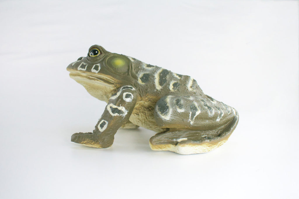 Bull Frog, High Quality, Hand Painted, Hard Rubber Frog, Realistic Amphibian, Toy Figure, Diorama Model, Replica, Kids, Educational, Gift,    9 Inches.    IM19 B655