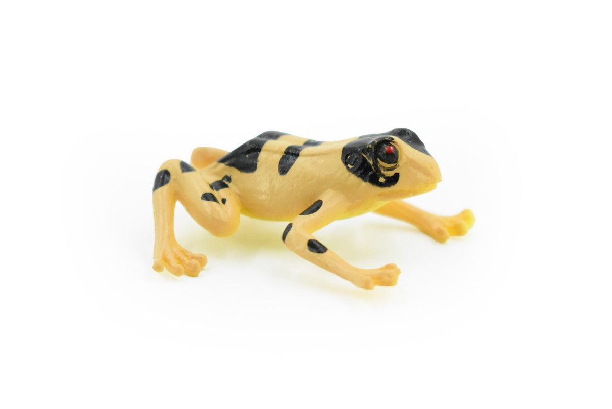 Frog, Brown & Black frog, Very Nice Plastic Design, Educational, Diorama, Realistic Figure, Lifelike, Replica, Toy, Kids,  1 1/2 Inches. 