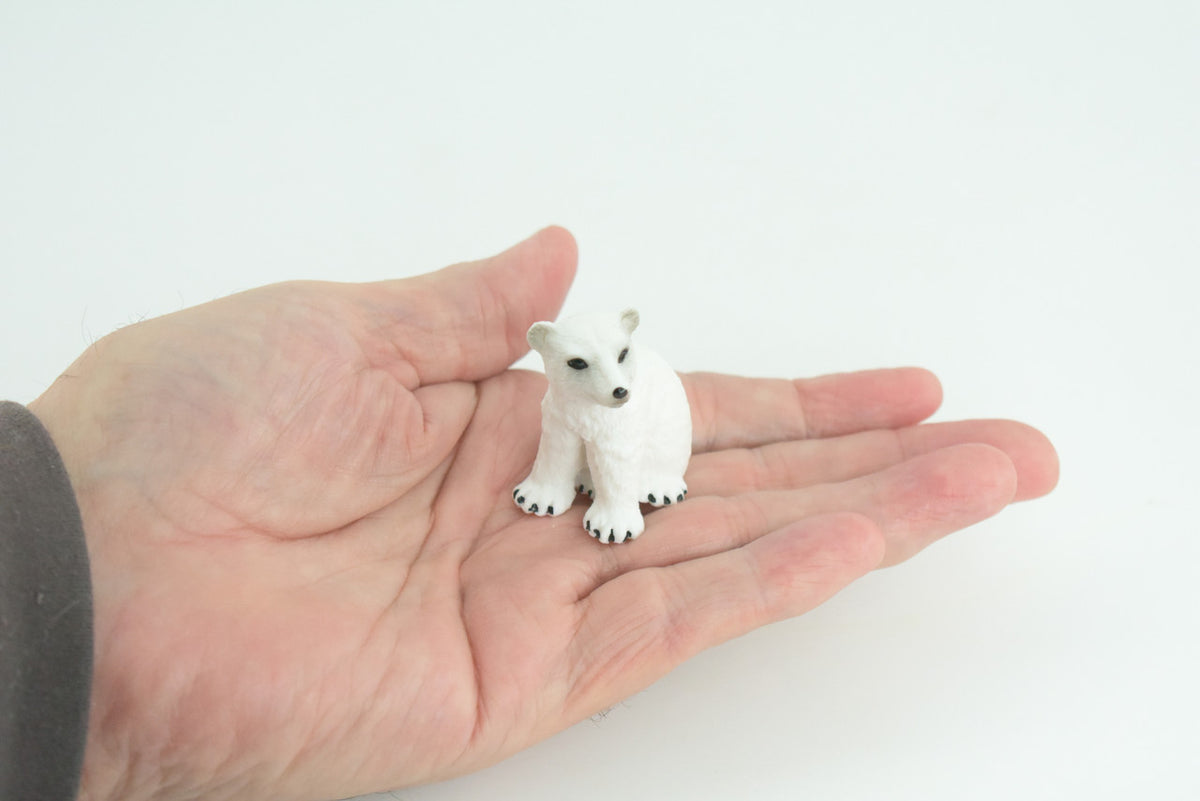 Polar Bear Cub, Sitting, Museum Quality, Educational, Hand Painted, Rubber Animal, Realistic, Diorama, Toy, Kids, Gift, 2 Inches. CH807 BB188