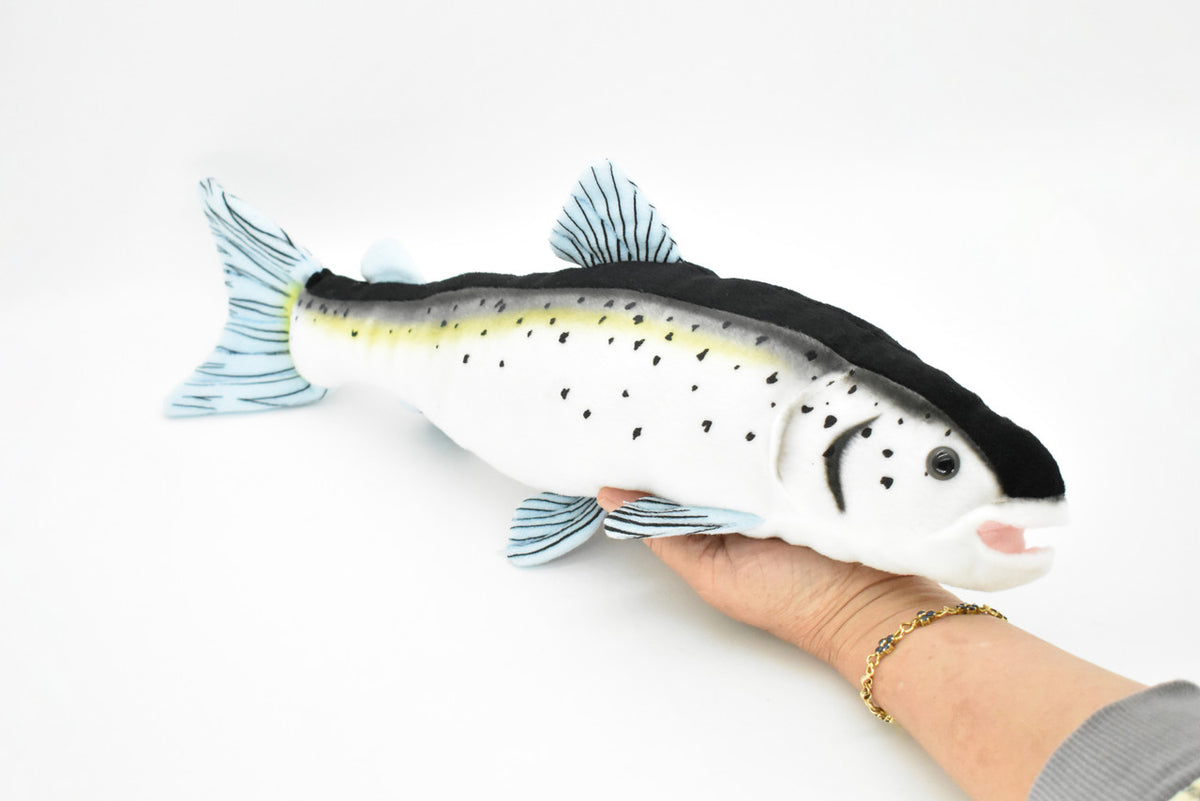 Atlantic Salmon, Very Nice Plush Fish, Stuffed Animal, Educational, Toy, Kids, Realistic Figure, Gift,          17" 