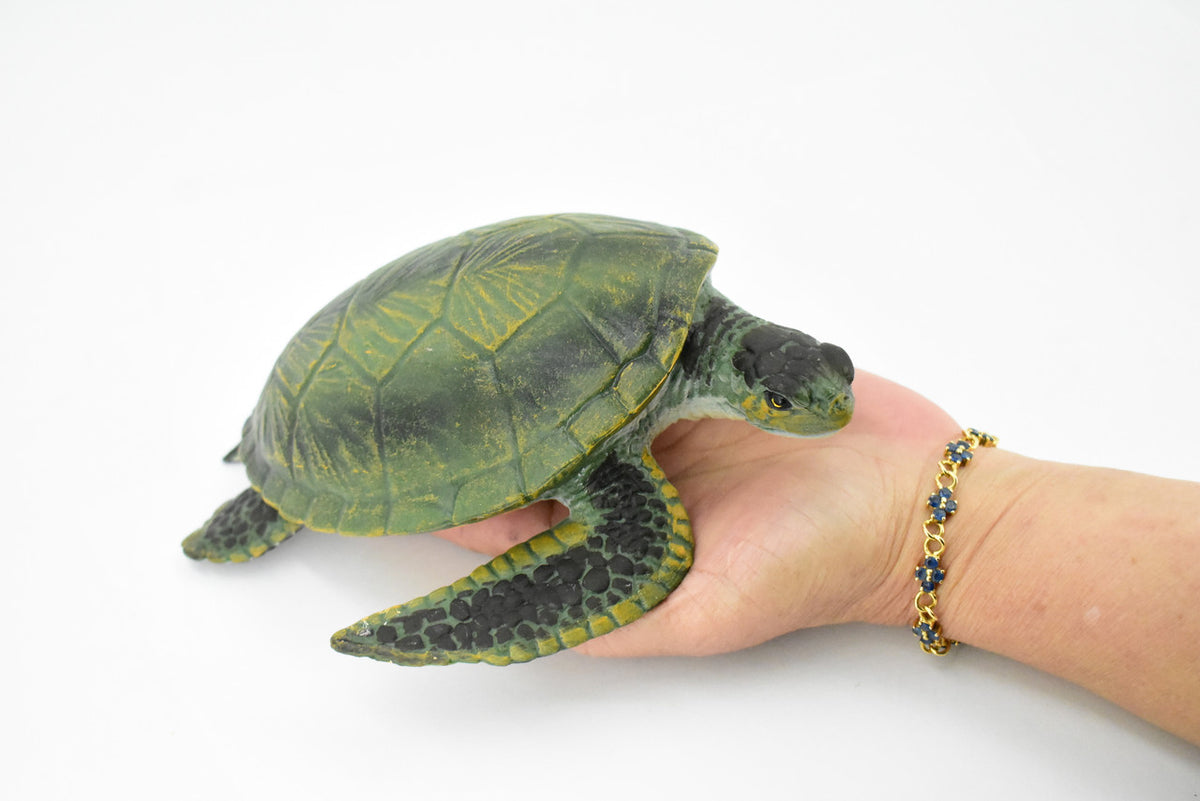 Turtle, Green Sea Turtle, Museum Quality, Hand Painted, Rubber Mammal, Realistic Toy Figure, Model, Replica, Kids, Educational, Gift,     8"     CH234 BB120