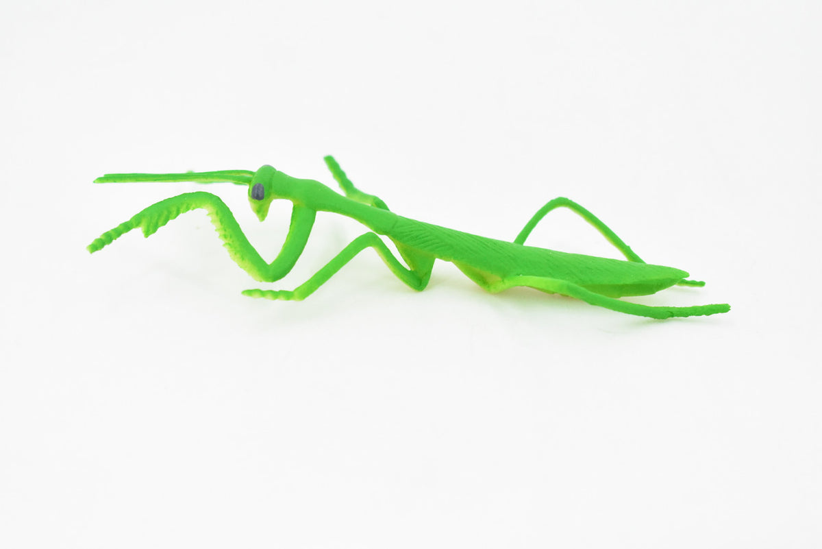 Praying Mantis, Rubber Insect, Toy, Realistic Figure, Model, Replica, Kids Educational Gift,     4"      F1053 B190