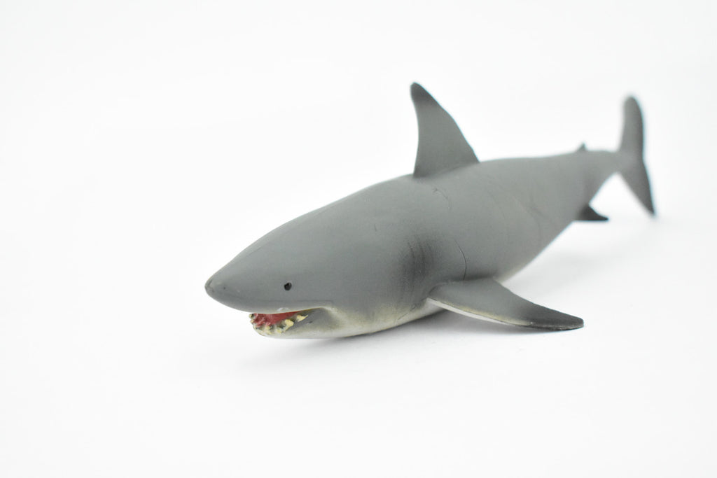 Black Tip Reef Shark, Museum Quality, Hand Painted,  Rubber Fish,  Educational, Diorama Model, Replica, Realistic Toy Figure, Kids,  7 Inches. 