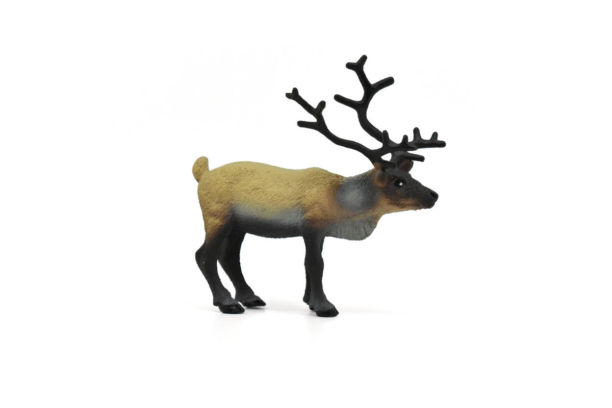 Caribou, Reindeer, Museum Quality, Realistic, Plastic Design, Educational, Hand Painted, Diorama Figure, Lifelike Model, Toy, 3 1/2 inches.