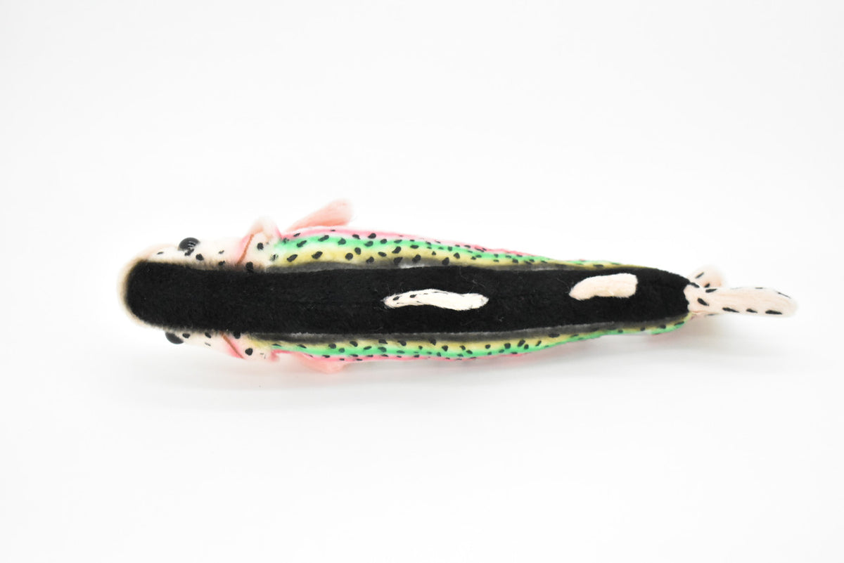 Rainbow Trout Plush Toy, Realistic Stuffed Animal, Soft Plush Fish, Stuffed Fish, Educational, Toy, Kids, Gift,      10"       F2401 BB61
