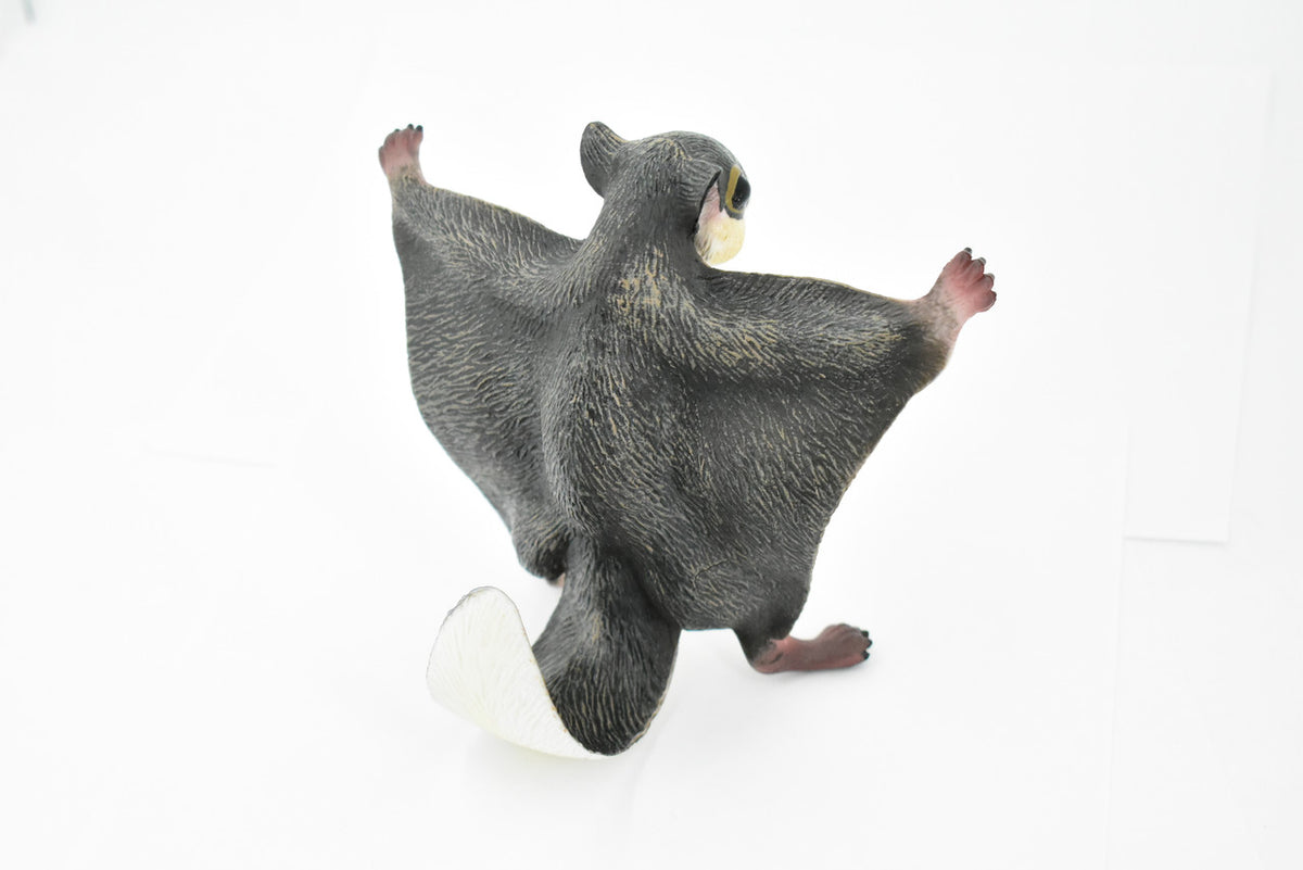 Flying Squirrel, Sciuridae, Museum Quality, Hand Painted, Rubber Mammal, Realistic Toy Figure, Model, Replica, Kids, Educational, Gift,      6 1/2 Inches     CH233 BB120