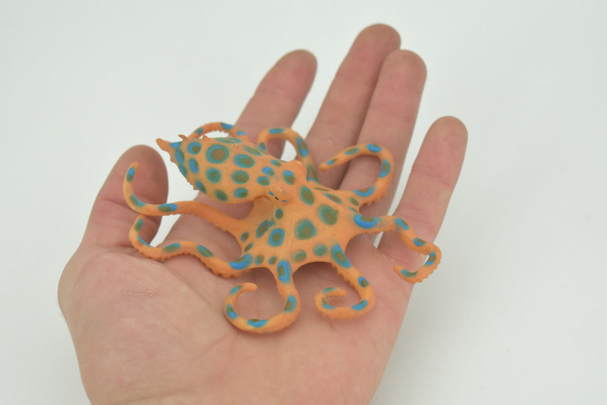 Octopus, Blue-ringed octopuses, Octopodes, Octopoda,Museum Quality, Hand Painted, Hard Rubber, Realistic, Model, Replica, Kids, Educational, Gift,   4 1/2"  CH299 BB181