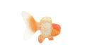 Fish, Oranda Goldfish, Redcap, Museum Quality, Hand Painted, Rubber, Realistic Figure, Model, Replica, Toy, Kids, Educational, Gift,      4"      CH561 BB162