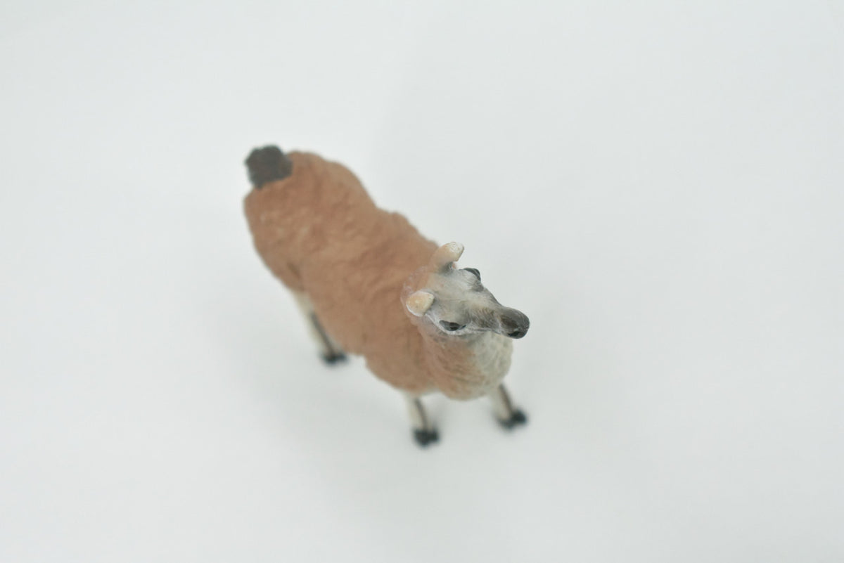 Alpaca, Lama pacos, Museum Quality, Hand Painted, Rubber Animal, Realistic, Toy, Figure, Model, Replica, Kids, Educational, Gift,    3 1/2"    CH603 BB165