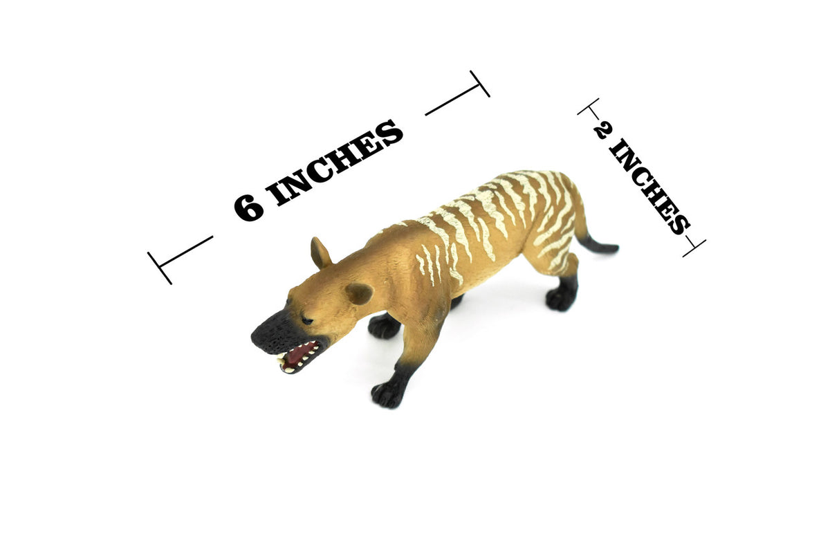 Hyaenodon Dinosaur, Prehistoric Wolf, Realistic Toy Model Plastic Replica, Kids Educational Gift     6"     M013 B631