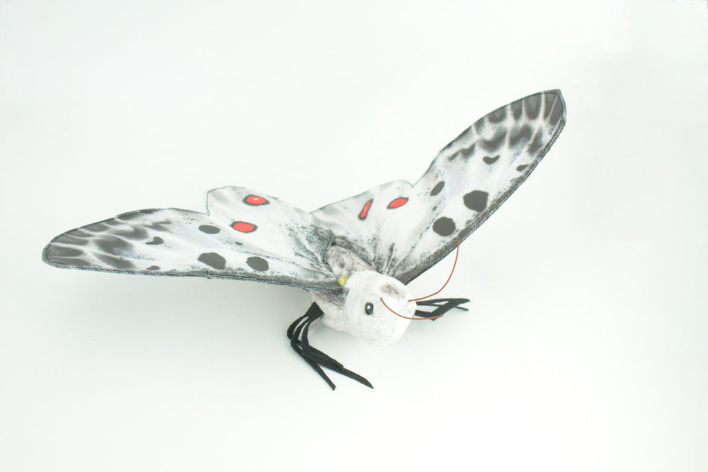 Apollo Butterfly, Finger Puppet, Very Nice Plush, Insect, Realistic, Educational, Toy, Kids, Gift,   15 Inches. WR36 BB317