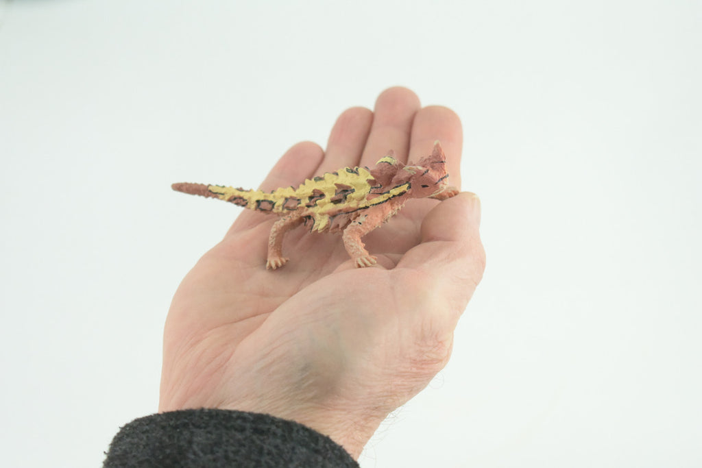 Thorny Dragon, Devil Lizard, Museum Quality, Educational, Hand Painted, Rubber Reptile, Toys, Kids, Gift, 4 1/2 Inches. CH730 BB184