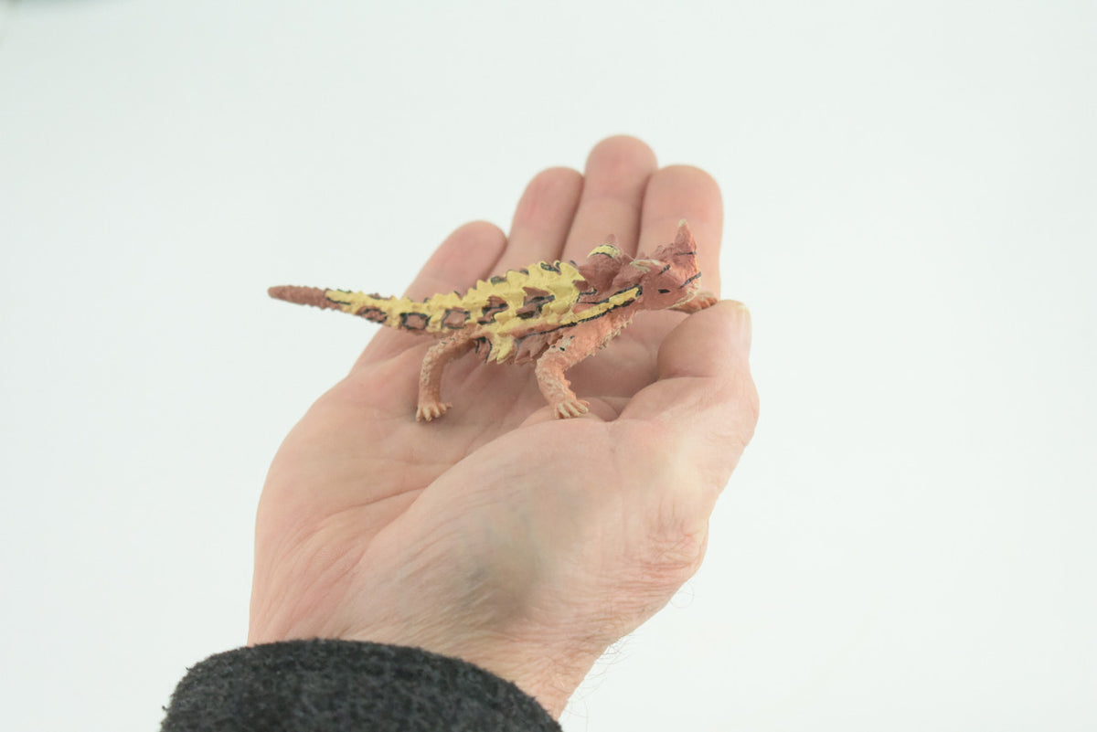 Thorny Dragon, Devil Lizard, Museum Quality, Educational, Hand Painted, Rubber Reptile, Toys, Kids, Gift, 4 1/2 Inches. CH730 BB184