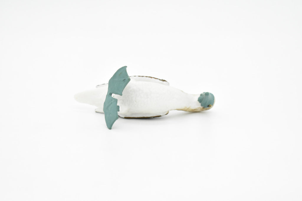 Blue Footed Booby, Gannet Sea Bird, Museum Quality, Rubber Bird, Hand Painted, Realistic Toy Figure, Diorama Model, Kids, Educational, 3 Inches.