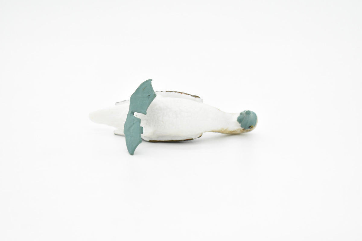 Blue Footed Booby, Gannet Sea Bird, Museum Quality, Rubber Bird, Hand Painted, Realistic Toy Figure, Diorama Model, Kids, Educational, 3 Inches.
