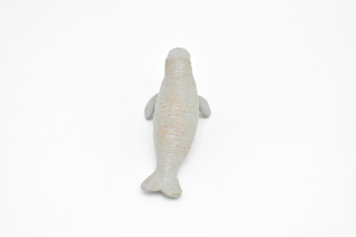 Manatee, Sea cow, Calf, Baby, Very Nice Plastic Replica, Hand Painted, Realistic, Educational, Diorama Model, Replica, Toy, Gift,    2 Inches.      F7040 B67