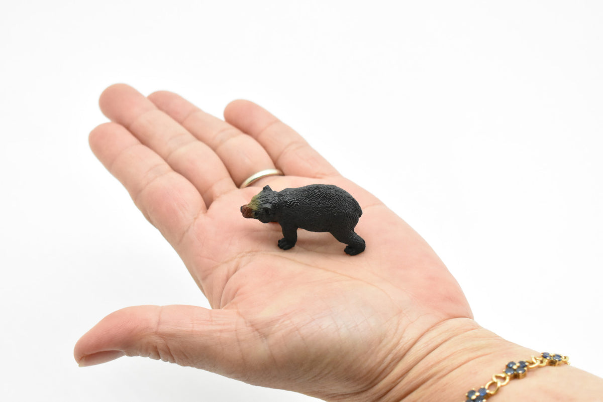 Wombat, Marsupials, Australia's unique Animal, Very Nice Plastic Toy, Figure, Educational, Lifelike, Diorama Model, Replica, Toy, Kids,   2 Inches  